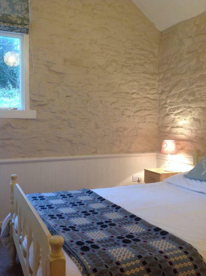 Cwmtwrch Cottage Carmarthen Exterior foto